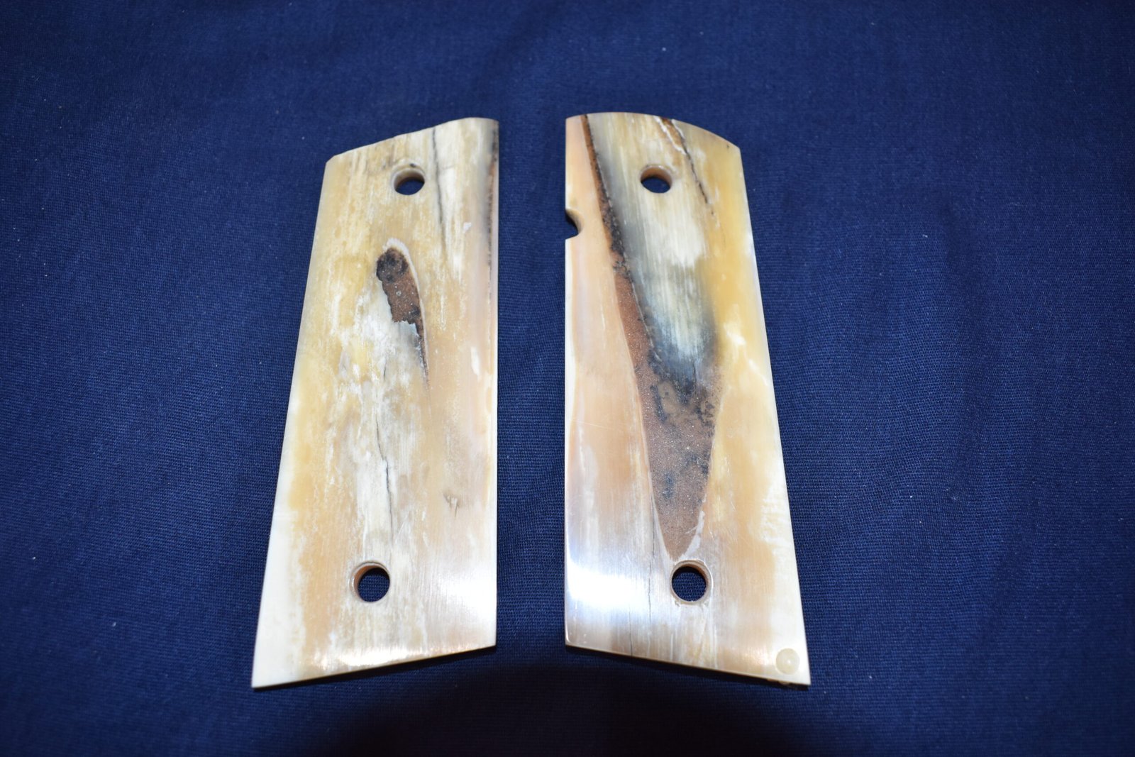 COLT 1911 MAMMOTH IVORY GRIPS 1911MI26 - Image 4