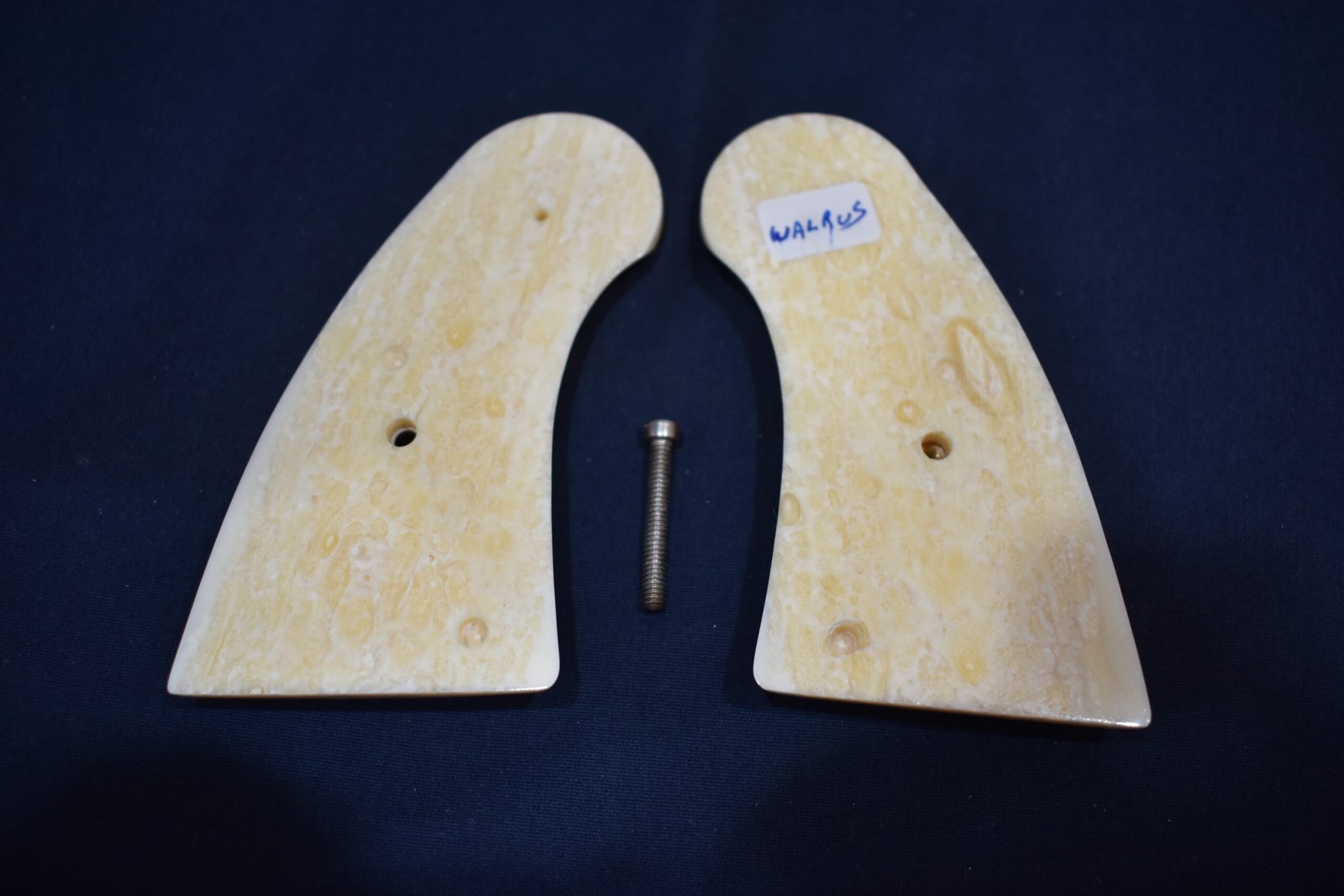 COLT PYTHON FOSSILIZED WALRUS IVORYCPWI5 - Image 4