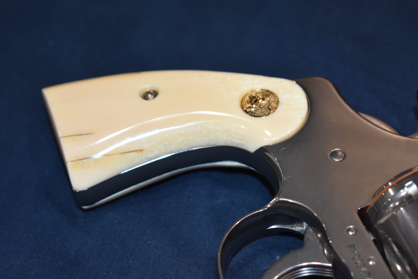 COLT PYTHON FOSSILIZED WALRUS IVORYCPWI6 - Image 12